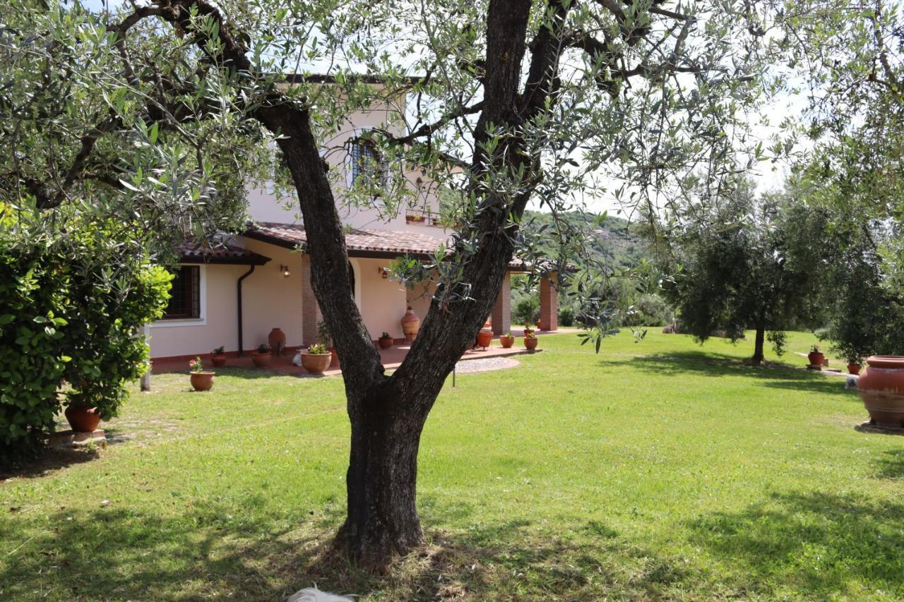 Villa Agriturismo Il Bagolaro Nerola Exterior foto